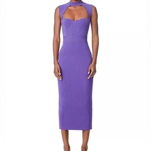 Gorgeous $1390 Herve Leger Dress